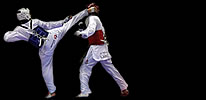 Taekwondo