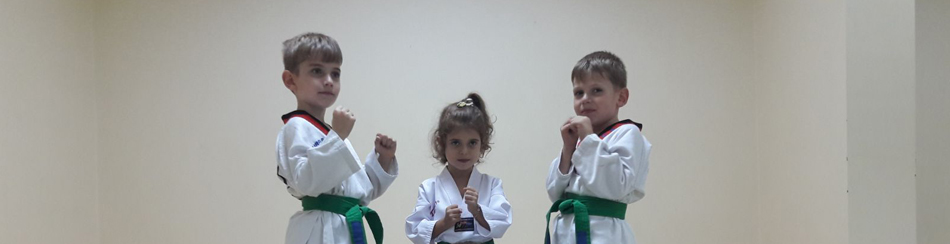 Taekwondo